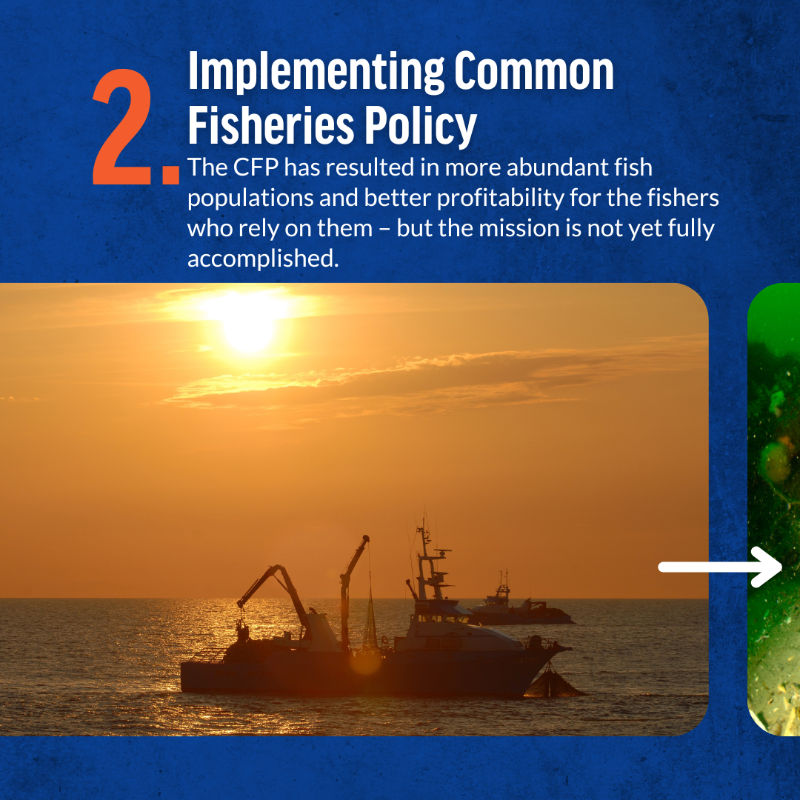 OceanaEurope's tweet photo. We can't have sustainable fisheries without a healthy and abundant ocean.

This is why the upcoming @EU_Commission needs to ensure coherence of all ocean-related policies, including fisheries and environmental policy. 

Our priorities for the new mandate⤵️