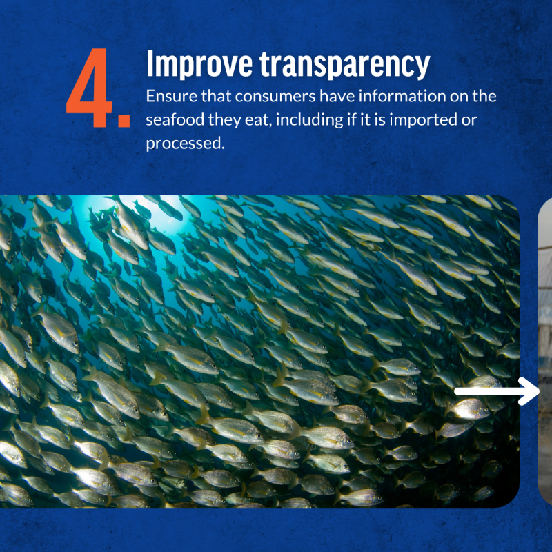 OceanaEurope's tweet photo. We can't have sustainable fisheries without a healthy and abundant ocean.

This is why the upcoming @EU_Commission needs to ensure coherence of all ocean-related policies, including fisheries and environmental policy. 

Our priorities for the new mandate⤵️