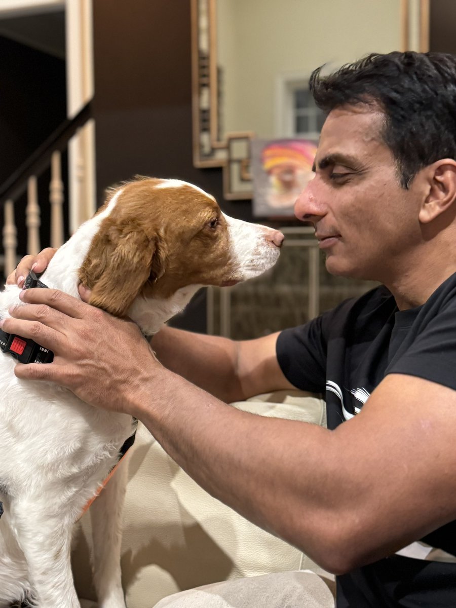 SonuSood's tweet image. Ginger 🐶