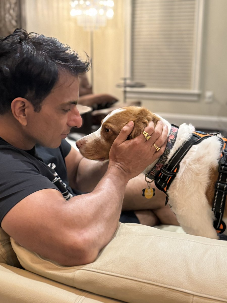 SonuSood's tweet image. Ginger 🐶