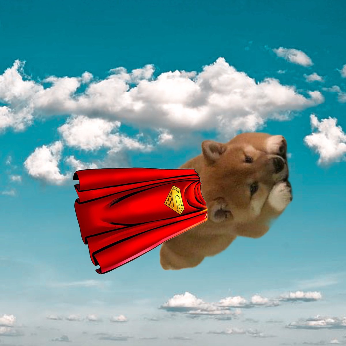 ShibbyCTO's tweet photo. ✨ Woof morning ✨

$SHIBBY #ShibbyArmy $SHIB #SHIBARMY #Memecoin #Solana #Crypto https://t.co/DLNRfCDZeX