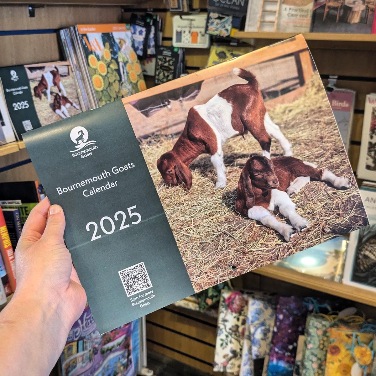 Westbourne Bookshop (@westbournebooks) on Twitter photo We have 2025 Bournemouth Goat calendars in stock now! ๐๐๐ All proceeds go to caring for our furry friends on the clifftop.
<a href="/bmouthofficial/">Love Bournemouth</a> <a href="/bmthconnect/">Bournemouth Connect</a> We have 2025 Bournemouth Goat calendars in stock now! ๐๐๐ All proceeds go to caring for our furry friends on the clifftop.
<a href="/bmouthofficial/">Love Bournemouth</a> <a href="/bmthconnect/">Bournemouth Connect</a>