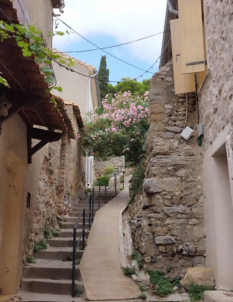 PourMatisse's tweet photo. Suite Hommage pour toi mon amour, mon ange, ma vie, les salines roses, le village, ce que tu aurais adoré. #tribute #Wait #yourtribute #forhim #anywhere #anyone #intheworld #formyfight #PleaseShare #ThankYou #untilmydeath https://t.co/D7WZltAOBR