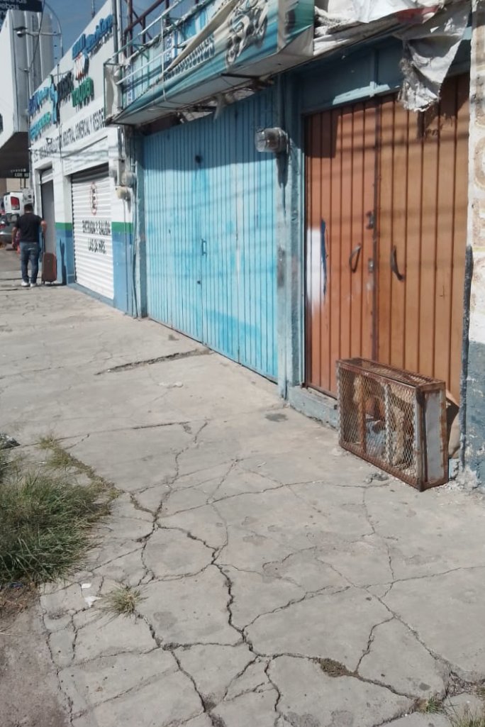 UHN Plus tweet media