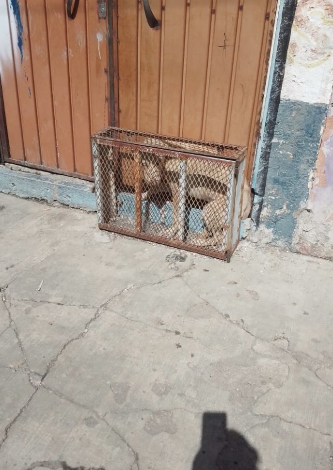 UHN Plus tweet media