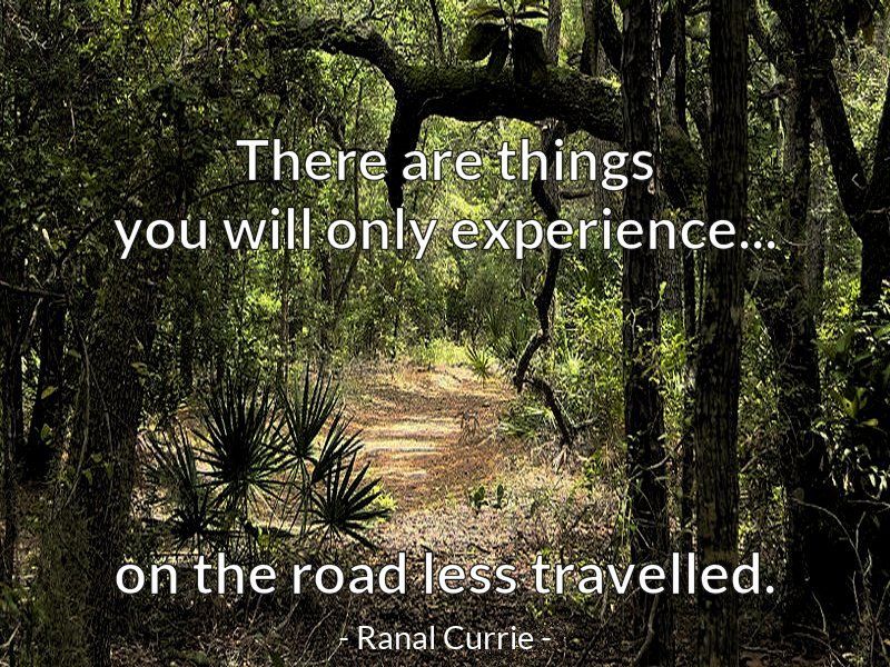 Take The Road Less Travelled: Inspiring Quotes & A Guide to Unconventional Living