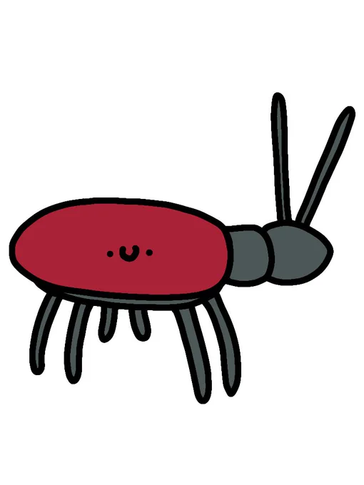 スジカミキリモドキ 
