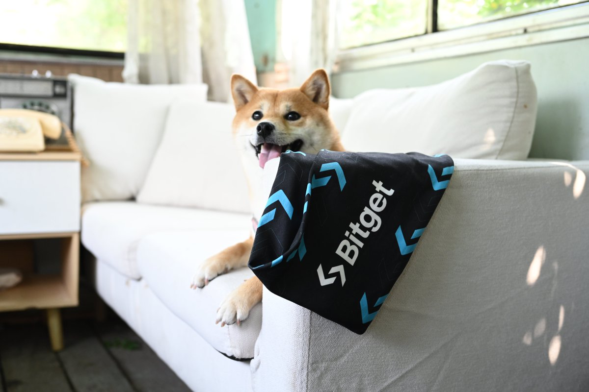 bitget's tweet image. Woof~ 🦴

$DOGS