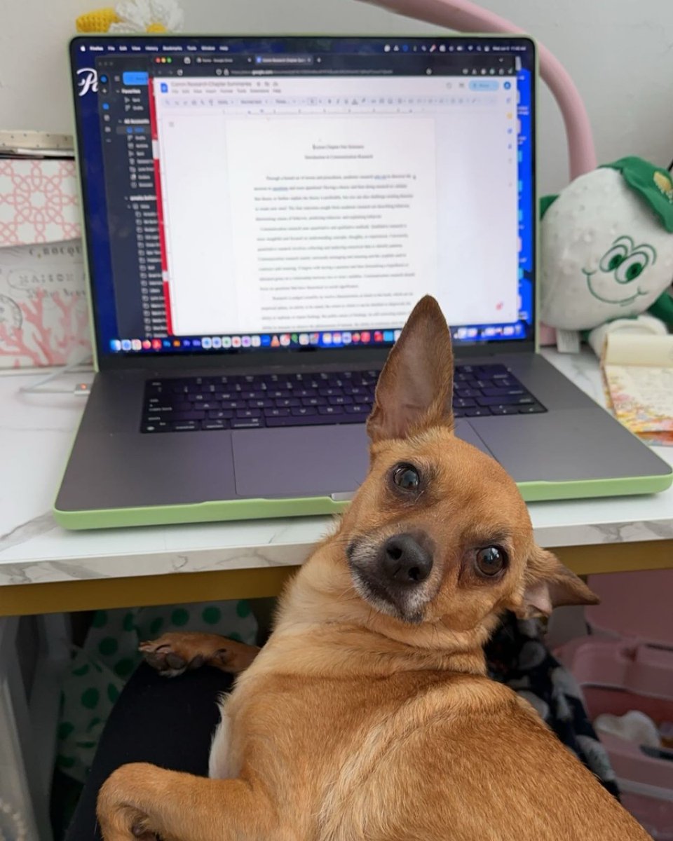 RU Summer Winter tweet media