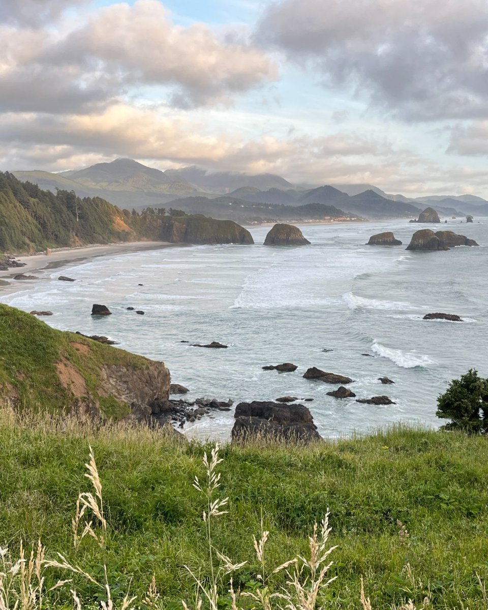 RU Summer Winter tweet media