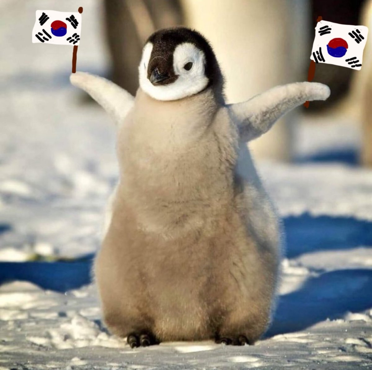 애두라 광복절이야
대한독립 만세!!!!!!
만세!!!!!!!

#광복절 🇰🇷 
#광복절79주년
#대한독립만세
#NationalLiberationDay