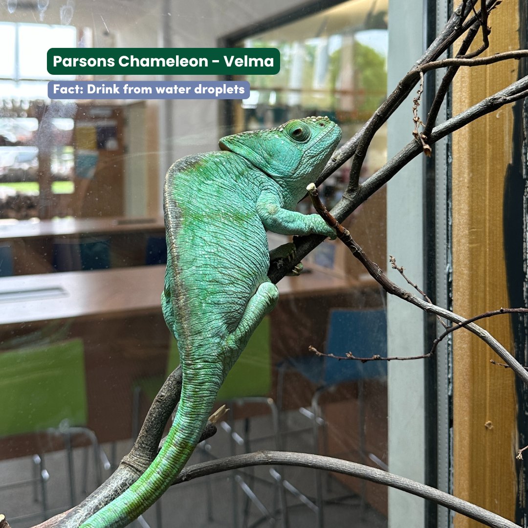 Askham Bryan College tweet media