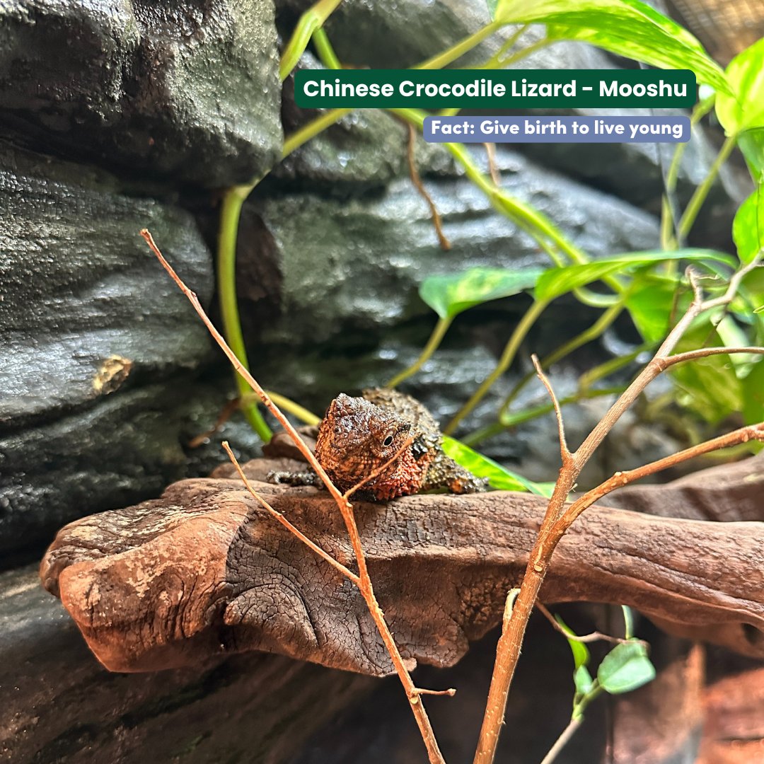 Askham Bryan College tweet media