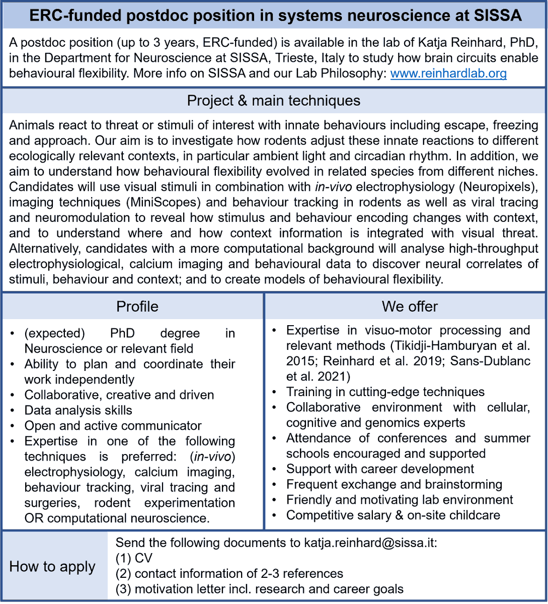 My lab <a href="/Sissaschool/">SISSA</a> in Trieste, Italy, is looking for a postdoc to join us! We do systems neuroscience in rodents with an ethological/comparative angle. Behaviour, viral tracing, ephys (Neuropixels), 1P imaging... Are you an experimentalist with some experience in one of these?