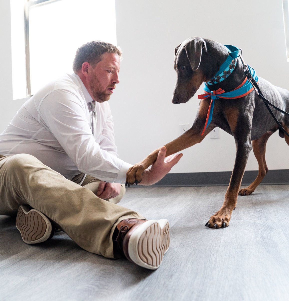 🐶 Your Dog May Be a Miracle Worker! 🐶

✔️ The Good Dog Foundation ( <a href="/GoodDogTherapy/">The Good Dog Foundation</a> ), a trusted AMC partner, can train you and your pooch to be a Volunteer Therapy Dog Team.

🤗 When people need healing across the tri-state area, Good Dog Volunteers step in – helping school