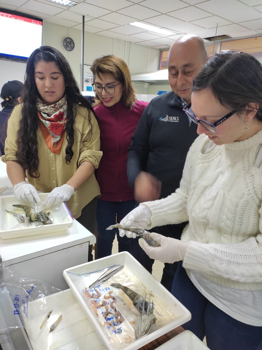 Mauricio tweet media