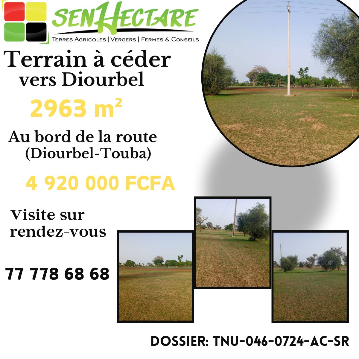 senhectare's tweet photo. Intéressés par cet espace à 0 m de la route #Diourbel #Touba, Contactez-nous !
Plus de descriptions 👉:  https://t.co/gHIAXwuTII
#cession #immobilier #entrepreneurs #CEO #agriculturesector #investissement #investisseur #agrobusiness #agribusiness #business_intelligence https://t.co/Yw7yWVWsAp