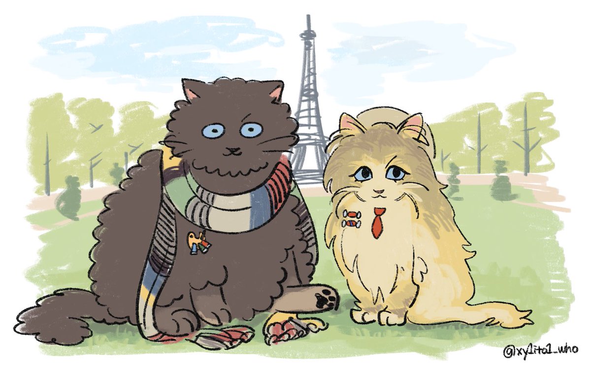 City of cats