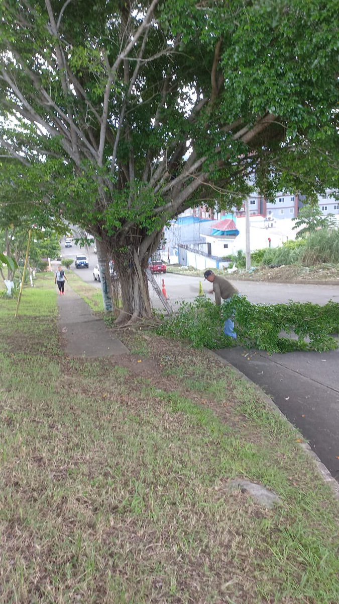 Altos de Santa María tweet media