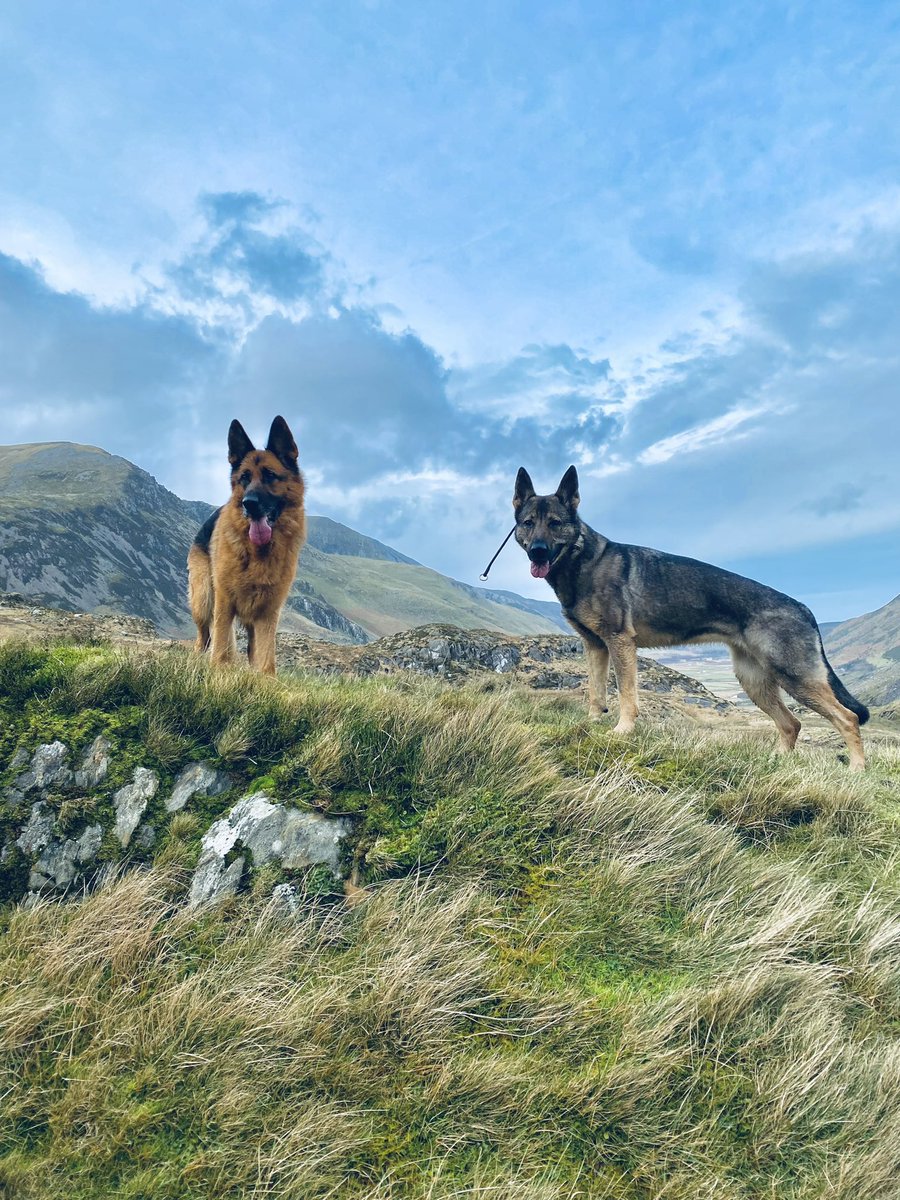 SD Maya &amp; RPD Lorrie.  #PoweredByBurns 😍