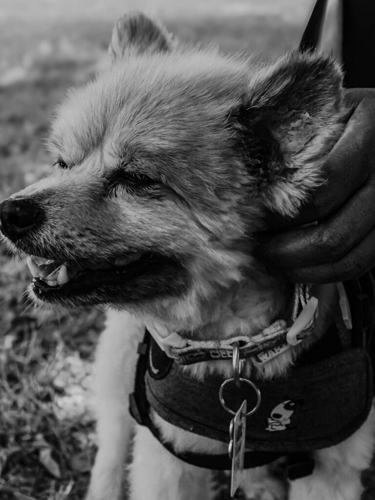 Ruth Okoye tweet media