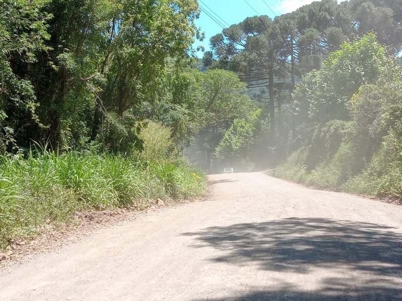 cacetinhodors's tweet photo. Ser gaúcho é não saber onde foi tirada a foto, pode ser Porto Alegre, Viamão, Canoas, Passo Fundo e por aí vai, toda cidade do RS tem essa estrada aqui 👇 https://t.co/qDQw9ouC9n