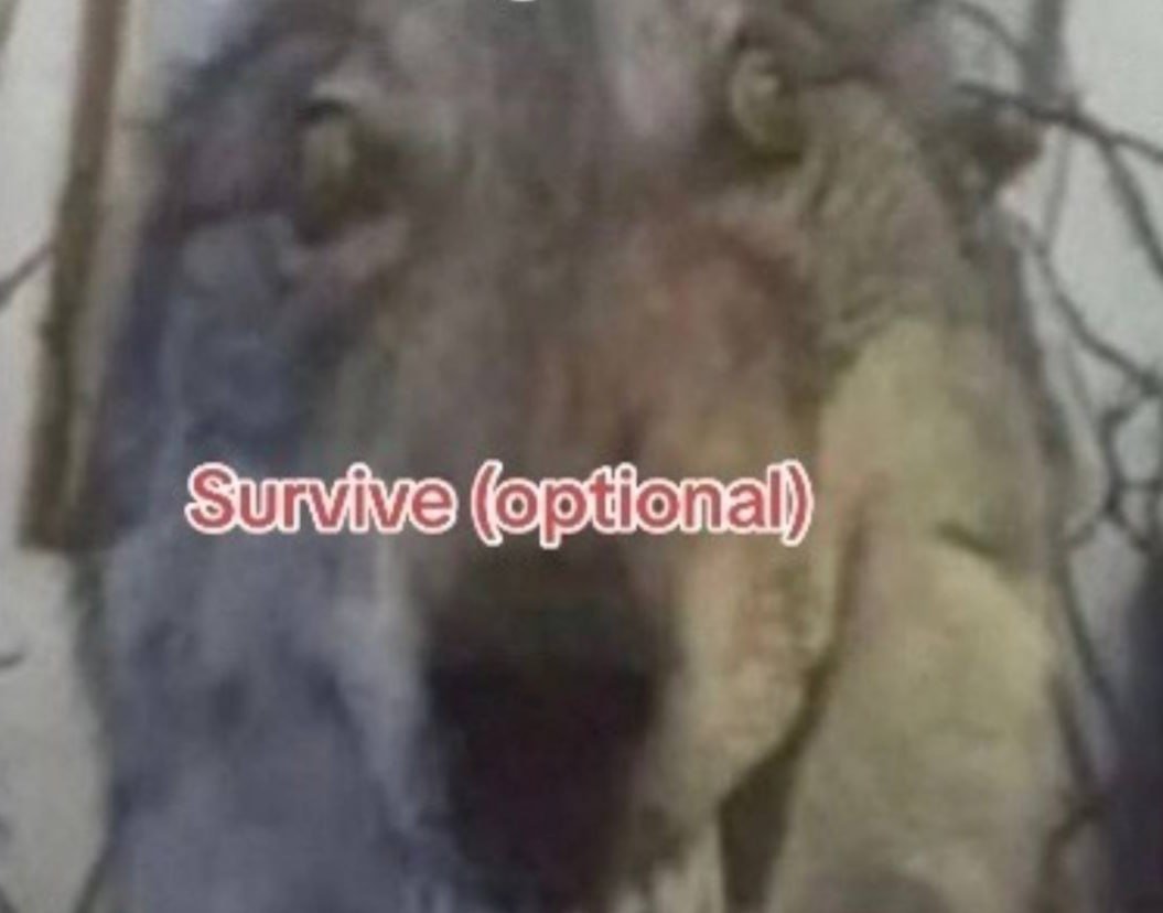 heyo, we're hiring a publishing producer (or two)!

⭐full-time, remote, ideally GMT+2-ish timezone
⭐work with cool indie titles and help them reach their players
⭐game publishing exp. or dev production experience is a must

apply here: criticalreflex.fillout.com/producer