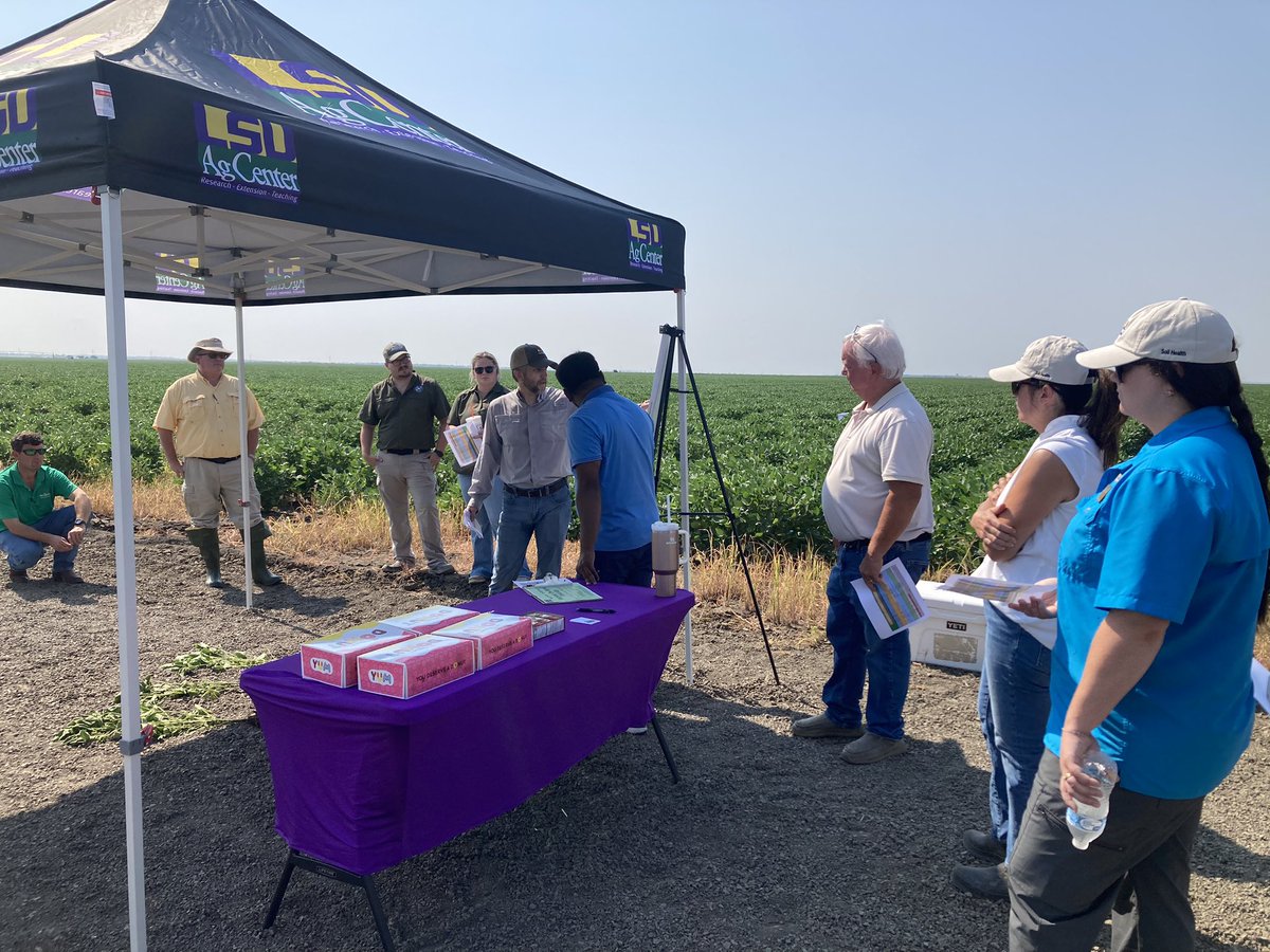 Louisiana Delta Crop Report (@ladeltacrop) on Twitter photo Dr. David Moseley, Soybean Specialist, talking at Kylie Miller, Catahoula Parish County Agent, Field Tour this morning. <a href="/LSUAgCenter/">LSU AgCenter</a> <a href="/lsu_BMPs/">LSUAgCenterOnFarmBMPs</a> <a href="/SoybeanScience1/">Science for Success</a> <a href="/SoybeanSouth/">Soybean South</a> Dr. David Moseley, Soybean Specialist, talking at Kylie Miller, Catahoula Parish County Agent, Field Tour this morning. <a href="/LSUAgCenter/">LSU AgCenter</a> <a href="/lsu_BMPs/">LSUAgCenterOnFarmBMPs</a> <a href="/SoybeanScience1/">Science for Success</a> <a href="/SoybeanSouth/">Soybean South</a>