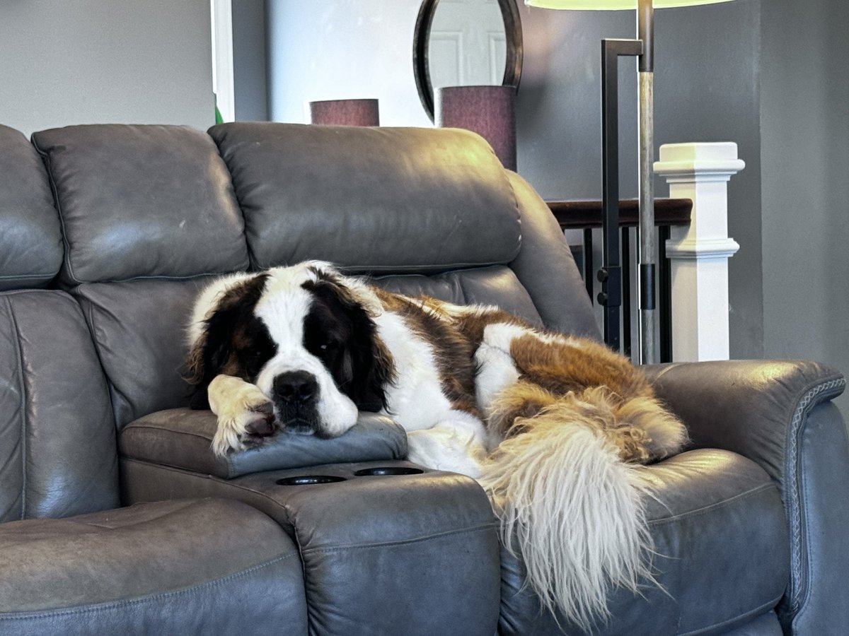 Dave Growl tweet media