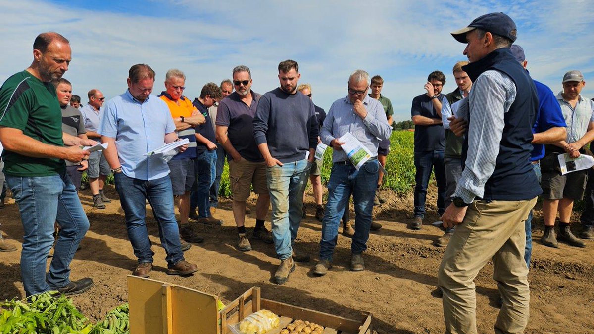 Search for the next best variety, growing technique and the perfect crisp never stops. Yesterday was our Annual Trials Day wash up! Up and coming variety trials and alternatives ferts, plus a bit of Regen. #thepotatopeople #onwardsandupwards 🥔🥔🥔