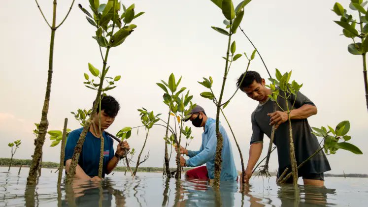 UN Global Pulse (@unglobalpulse) on Twitter photo At Global Pulse, we explore how we can align our nature based values with our work. Here is <a href="/UNUEHS/">UN University - EHS</a> 's new toolkit with 5 essential tools to help build resilient communities using Nature-Based Solutions that inspired us. Learn more about the toolkit here: unu.edu/ehs/series/5-t… At Global Pulse, we explore how we can align our nature based values with our work. Here is <a href="/UNUEHS/">UN University - EHS</a> 's new toolkit with 5 essential tools to help build resilient communities using Nature-Based Solutions that inspired us. Learn more about the toolkit here: unu.edu/ehs/series/5-t…
