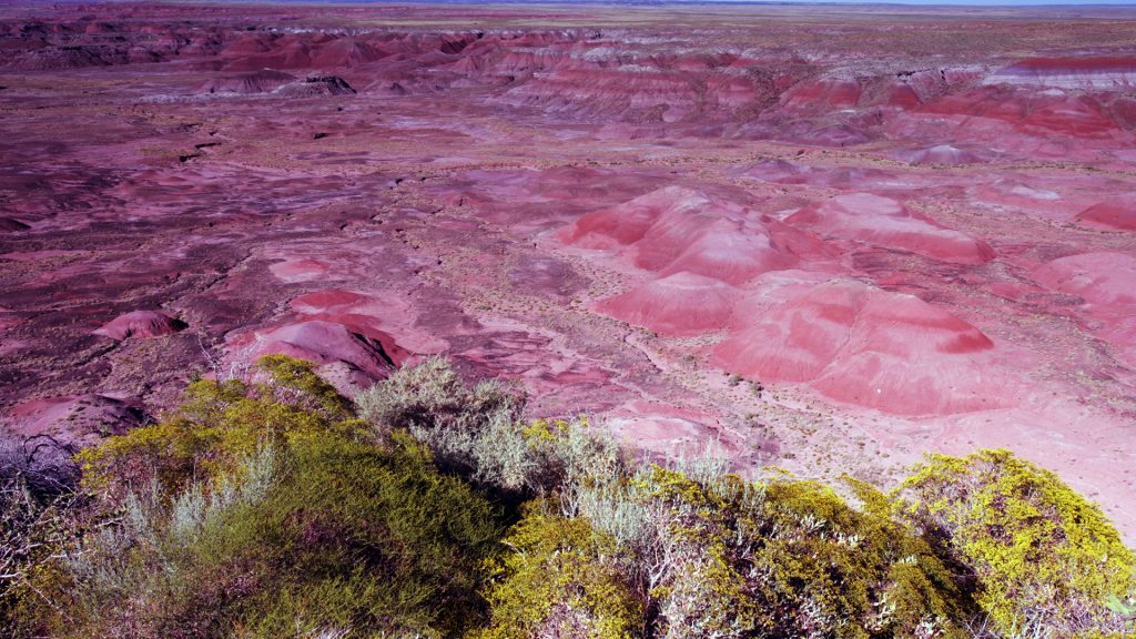 Dunya724's tweet photo. Günün Fotoğrafı 📸 Painted Desert view at dawn in Petrified Forest National Park, Arizona, USA https://t.co/JuKd1hVVN0