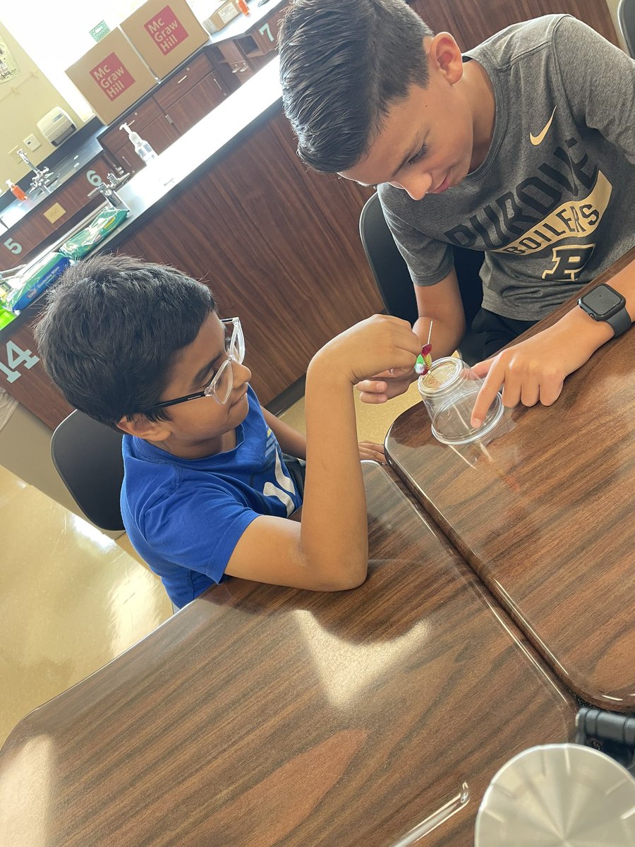 Mrs. Mockler tweet media