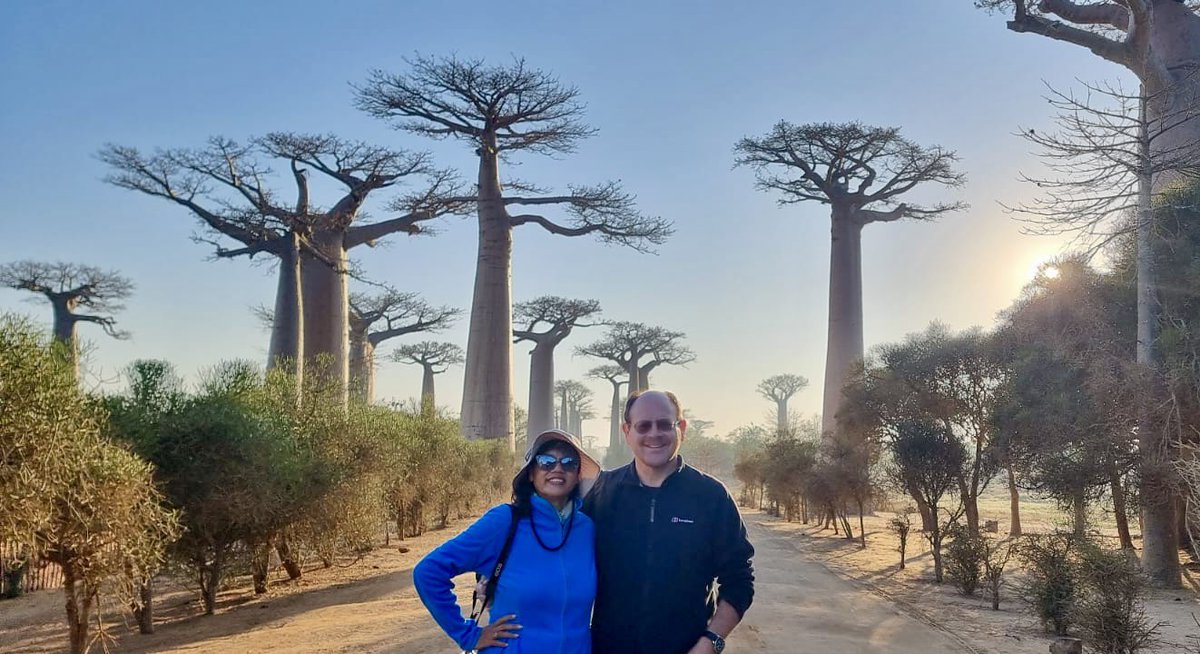 David Ashley tweet media