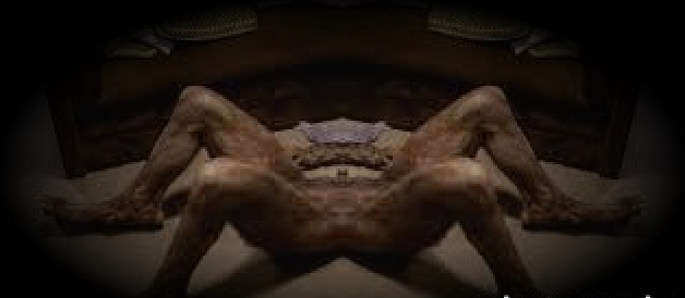 LAST_LODGE's tweet photo. I just published THE RESURRECTION OF ROMAN GREY
(His Remission Transmissions). https://t.co/skR960b87T https://t.co/4u6cOYlIYH