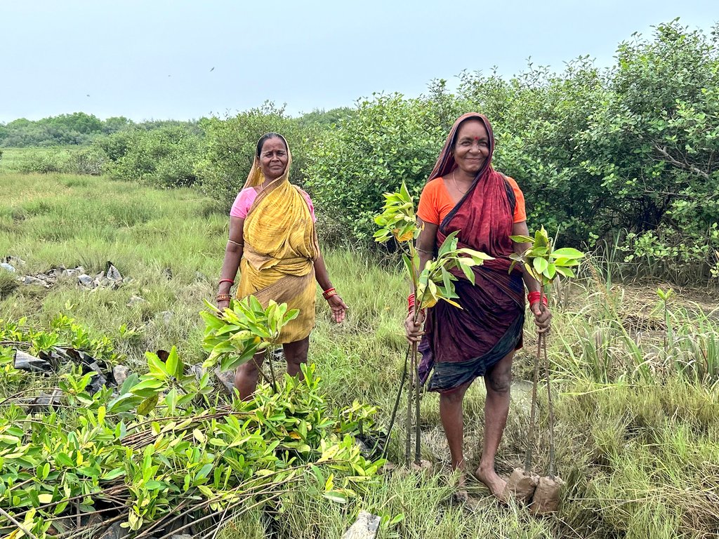 Odisha Paryavaran Sanrakshan Abhiyan Trust tweet media