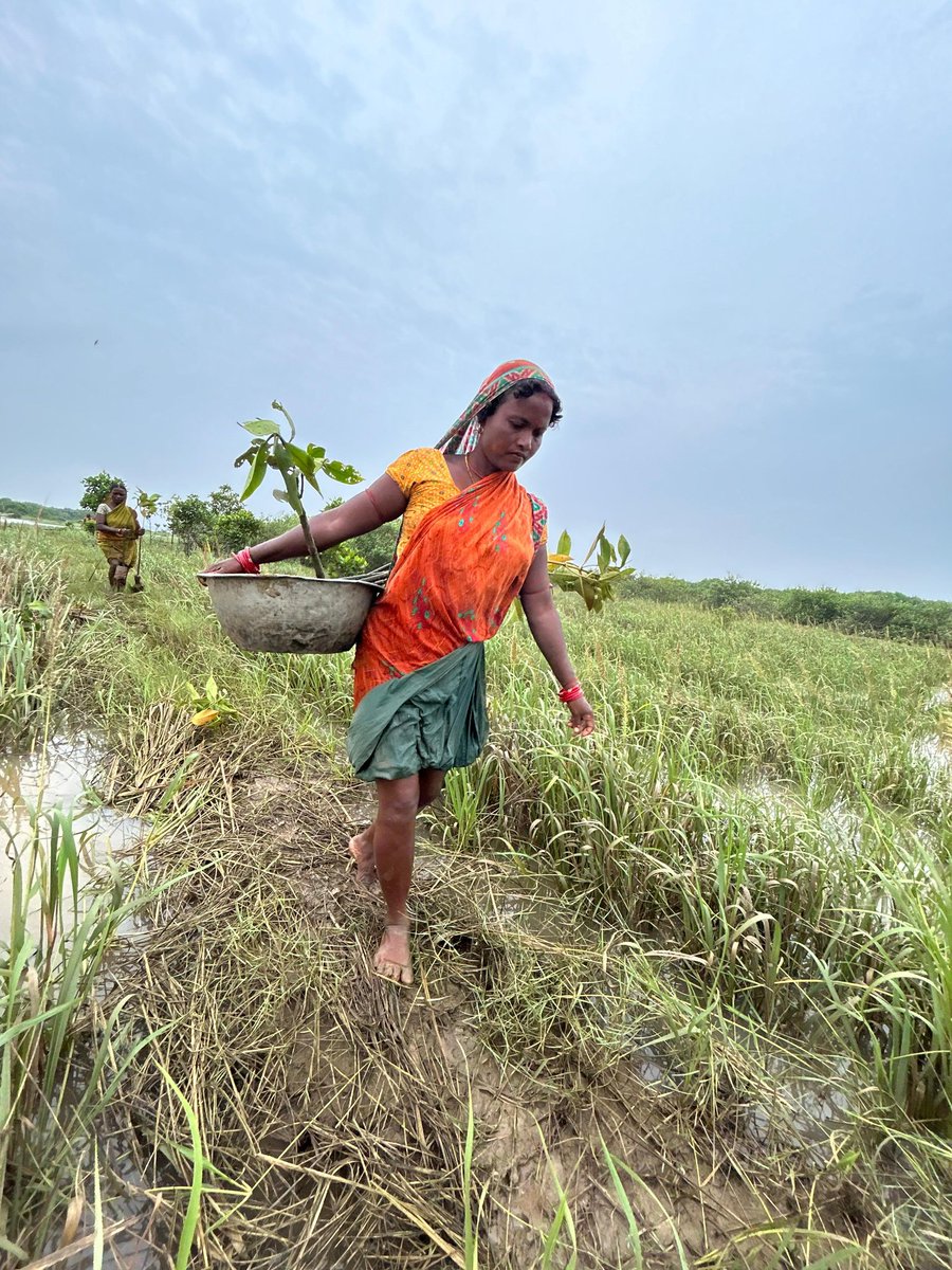 Odisha Paryavaran Sanrakshan Abhiyan Trust tweet media