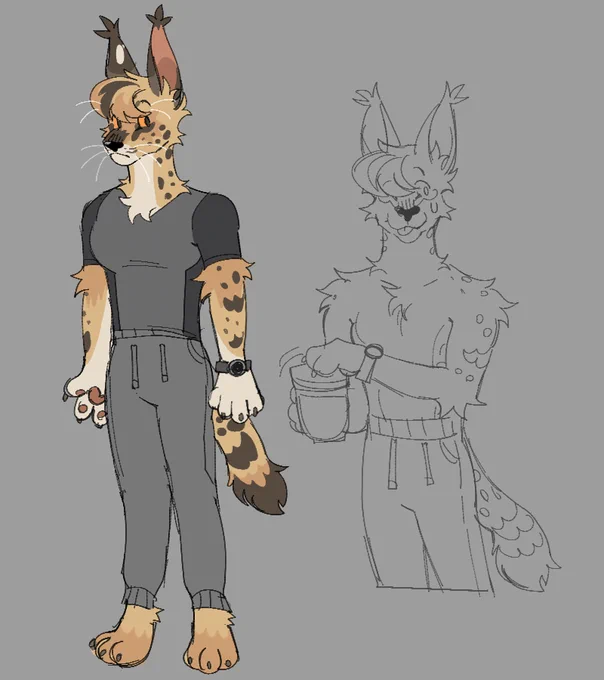 Random serval guy who likes to go for runs 