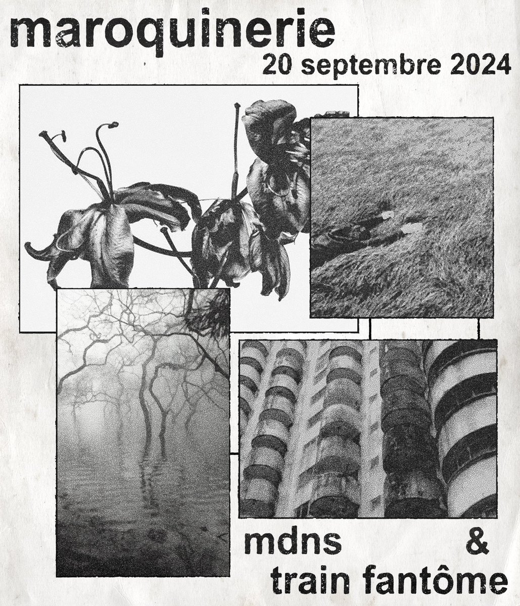 train_fantome's tweet image. PARIS📍ce show va être historique🩸
@train_fantome &amp;amp; @MDNS_TF 

Prenez vos places 🫵 

visuel @gu1ps_