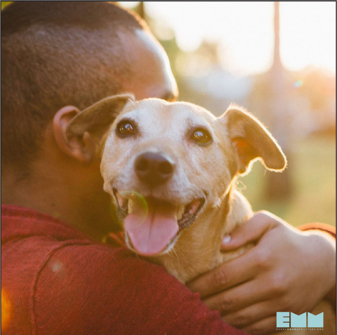 Just like anything in life, the journey to finding what brings us joy requires a few essential steps!  Let’s reflect together! What makes you truly happy? Share your thoughts below!