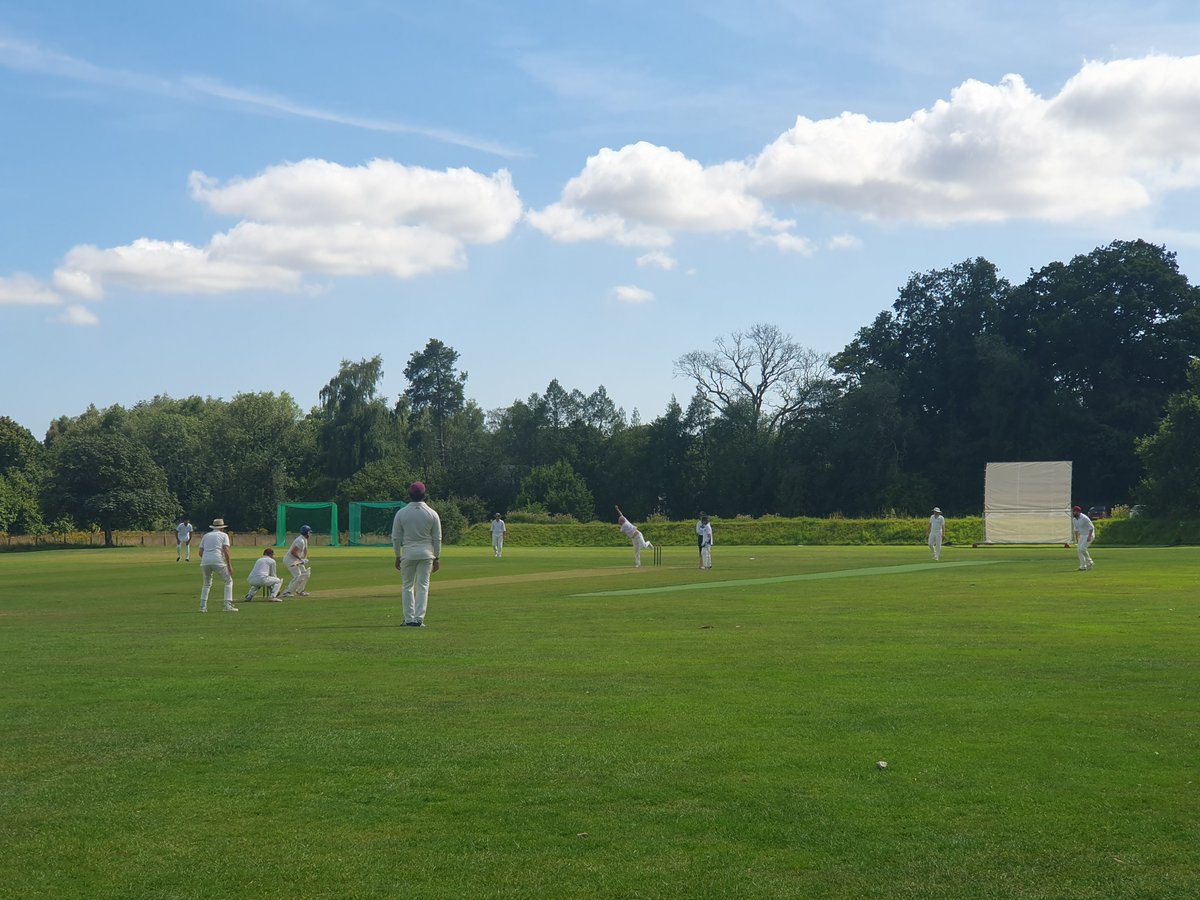 The Bushmen tweet media