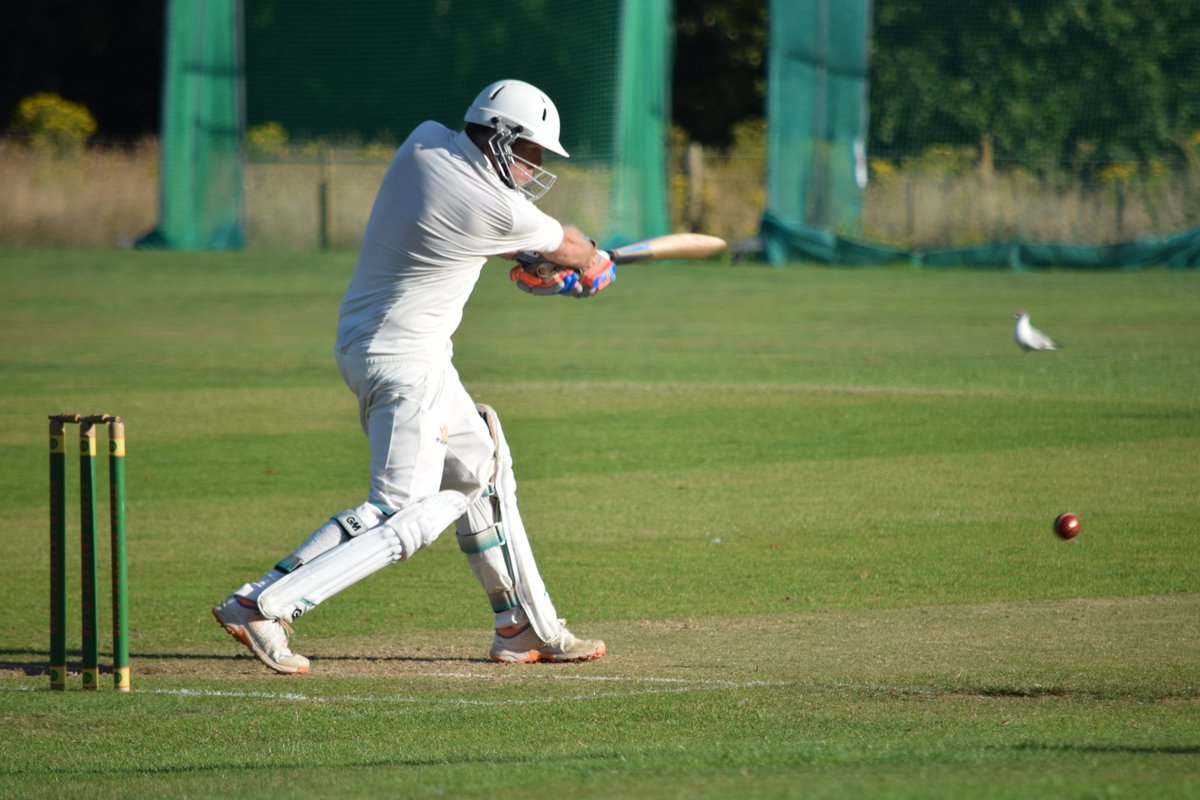 The Bushmen tweet media