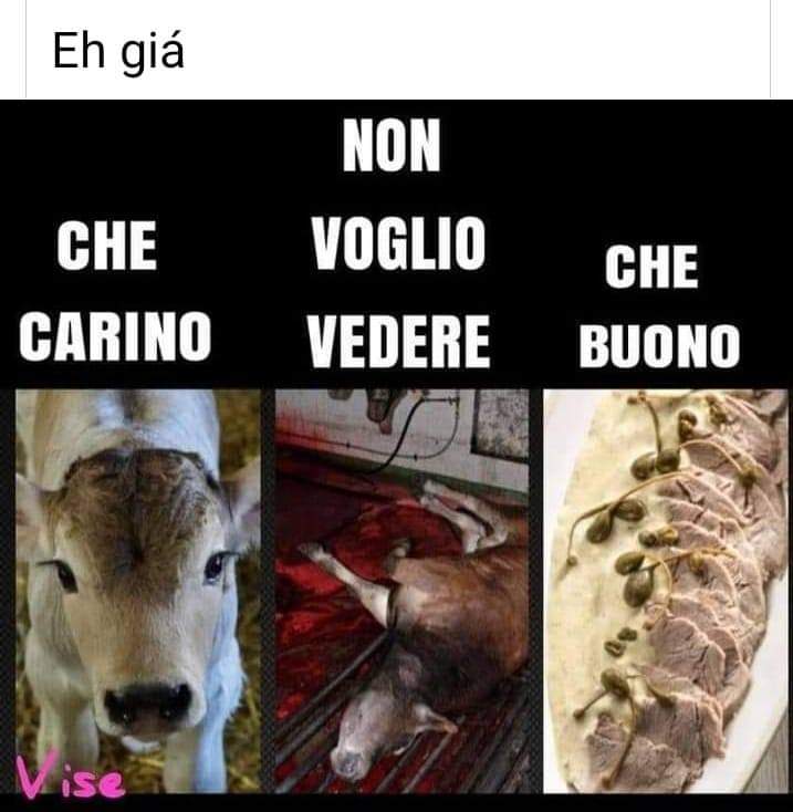 Ipocrisia umana