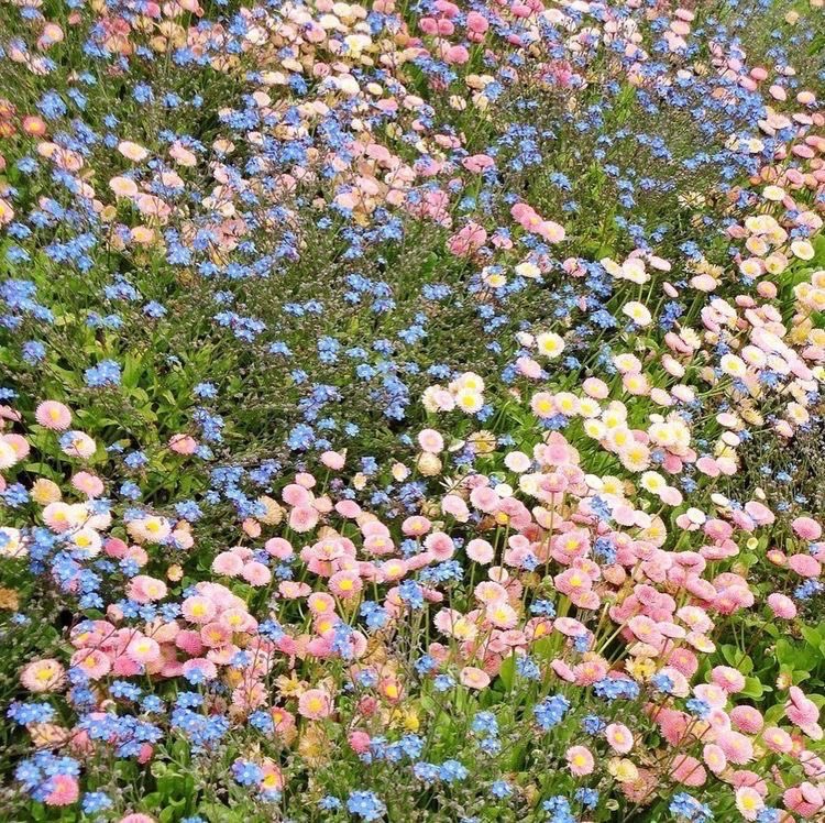 She is a flower,
but she isn't soft.

เธอเป็นดั่งดอกไม้
แต่เธอไม่ได้อ่อนแอนะ