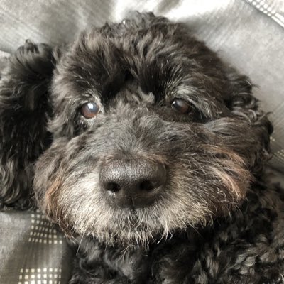 kev_newts's tweet image. #NewProfilePic