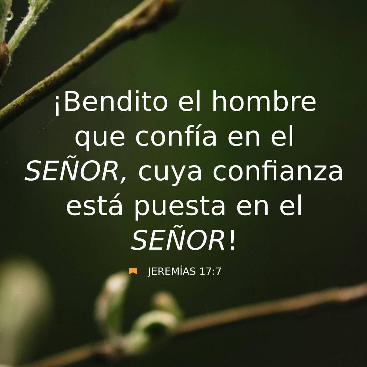 ingeniuscapital's tweet photo. Dios es Real https://t.co/N4tcdWKv4k