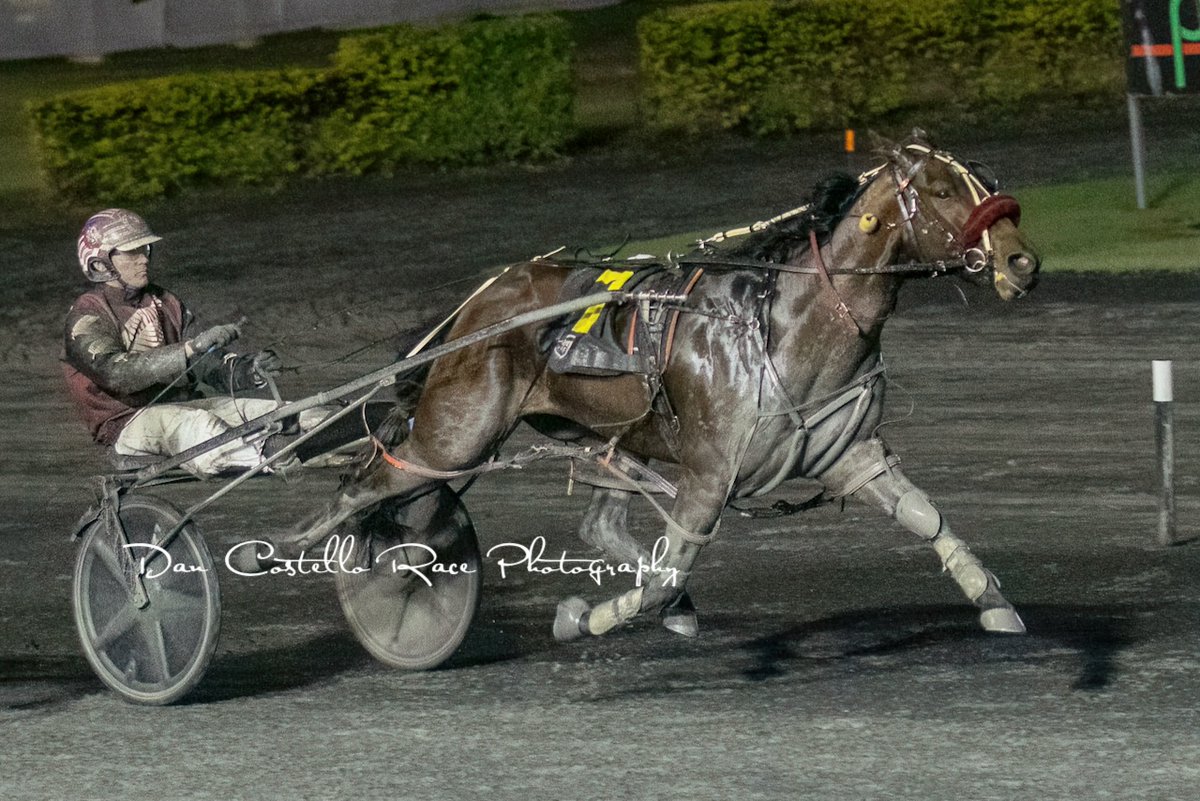 Dan Costello (@danracingwrap) on Twitter photo Nathan Dawson gets My Scimitar home along the <a href="/StudBurwood/">Burwood Stud</a> sprint lane to win race 7 <a href="/redcliffe_hrc/">Redcliffe Harness Racing Club</a> for trainer <a href="/RileyButt6/">Riley Butt</a> <a href="/TRButtRacing/">Tim & Riley Butt Racing</a> <a href="/KateButtt/">Kate Butt</a> <a href="/chapeauxx/">Alan Aitken</a> <a href="/gregmitc/">GREG MITCHELL</a> picking up a $14,000 QBred bonus for connections Nathan Dawson gets My Scimitar home along the <a href="/StudBurwood/">Burwood Stud</a> sprint lane to win race 7 <a href="/redcliffe_hrc/">Redcliffe Harness Racing Club</a> for trainer <a href="/RileyButt6/">Riley Butt</a> <a href="/TRButtRacing/">Tim & Riley Butt Racing</a> <a href="/KateButtt/">Kate Butt</a> <a href="/chapeauxx/">Alan Aitken</a> <a href="/gregmitc/">GREG MITCHELL</a> picking up a $14,000 QBred bonus for connections
