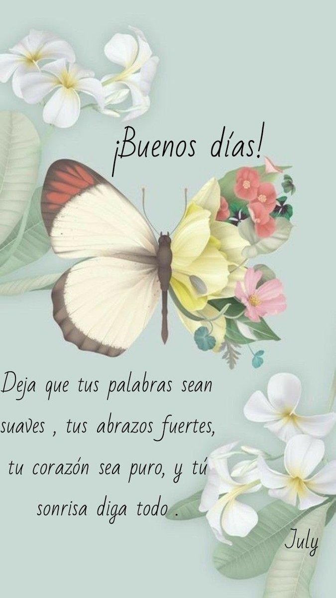 maribel Guerra (@maribel07923571) on Twitter photo 