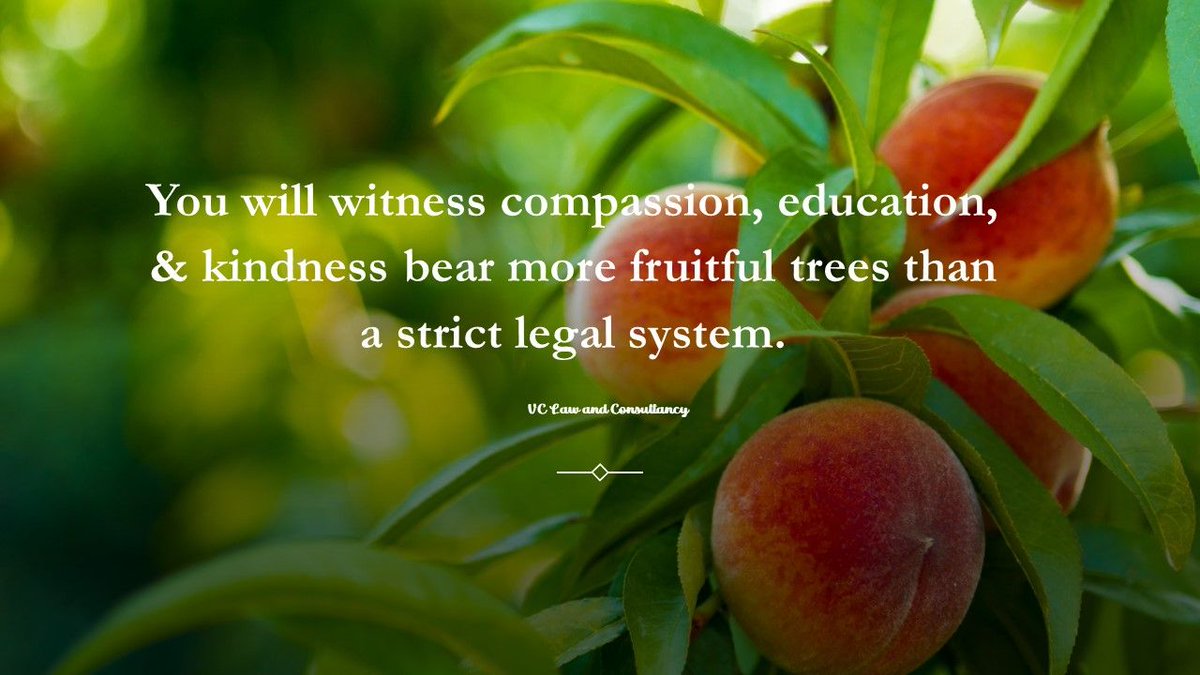 VCLawCons's tweet image. You will witness compassion, education, &amp;amp; kindness bear more fruitful trees than a strict legal system.

#VCLawConsultancy #VCHukukDanismanlik #ForeignersLaw #LawFirm #deportation #CriminalLaw #EnvironmentalSustainability #ProBono #CommunityService #EnvironmentalSustainability