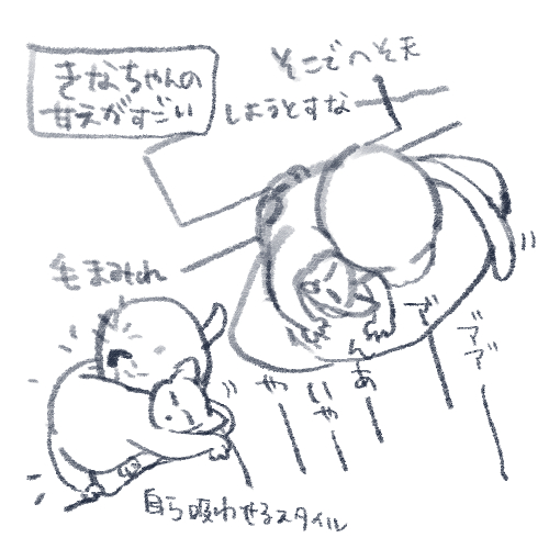 毎日顔が毛まみれ